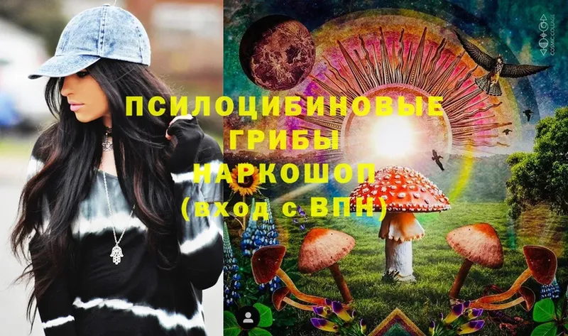 Галлюциногенные грибы MAGIC MUSHROOMS  где найти наркотики  сайты даркнета клад  Грязи 